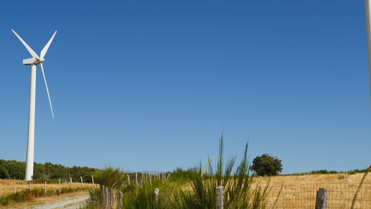 Climate Change's Profound Impact on Economic Growth: UNAM