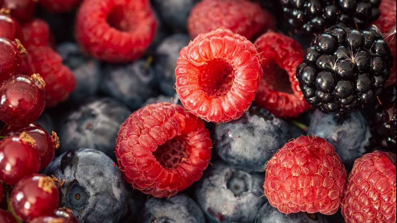 Indonesia to Boost Investment in Mexico's Agricultural Sector