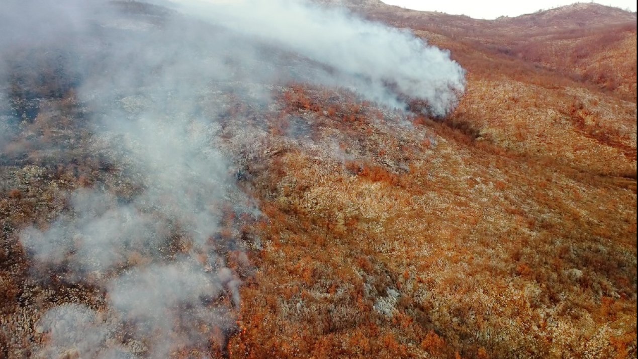 Record-Breaking Climate Hazards Ravage Latin America 