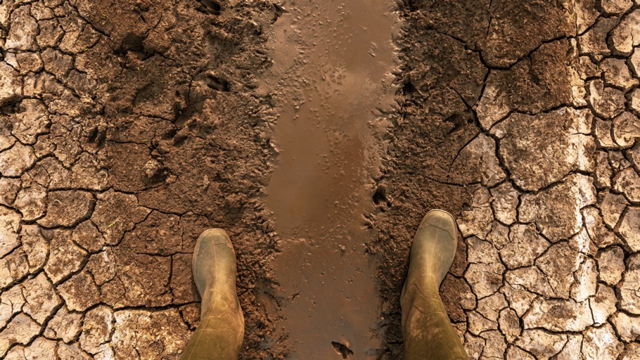 UNAM's Climate Study, Presidential Debate: The Week in ESG