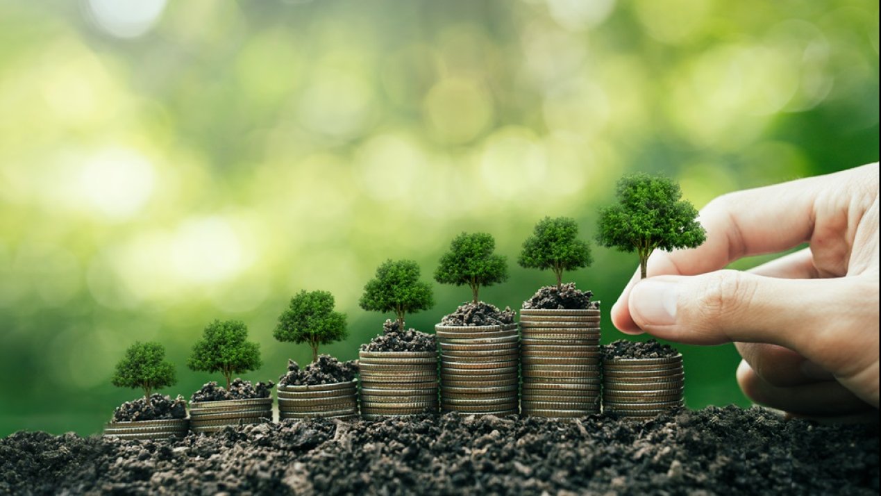 Bloomberg Unveils Customizable Sustainability Assessment Tool 