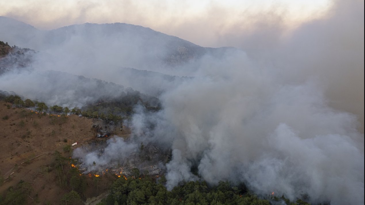 Forest Fires, Food Sovereignty