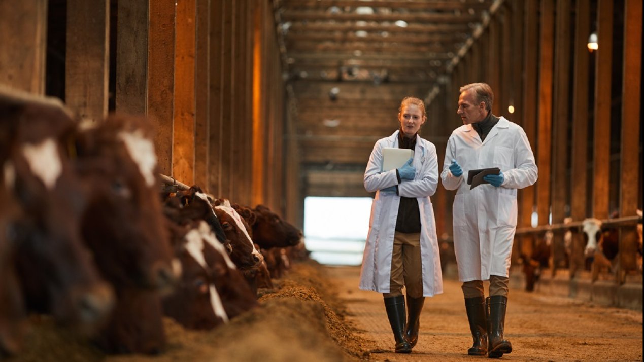 SADER Unveiled Regional Action Plan to Combat Bovine Tuberculosis