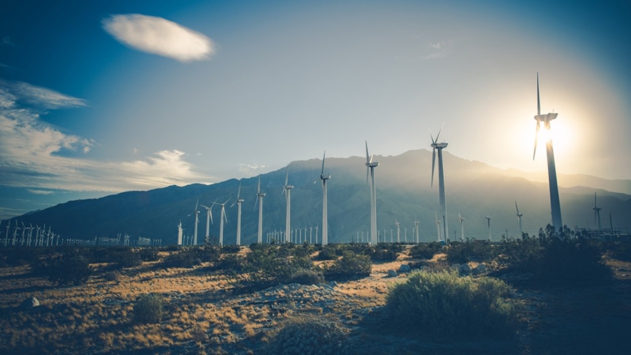 Bimbo Reaches 92% Renewable Energy Use in Global Operations