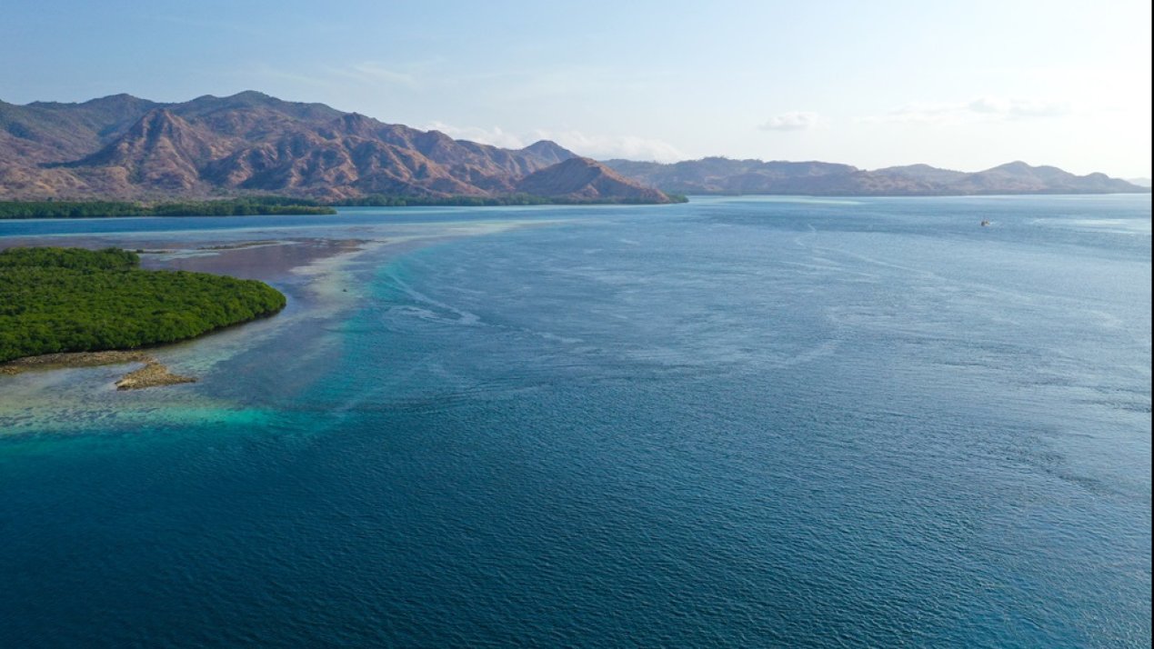 UNESCO Warns of Severe Climate Change Impact on Oceans