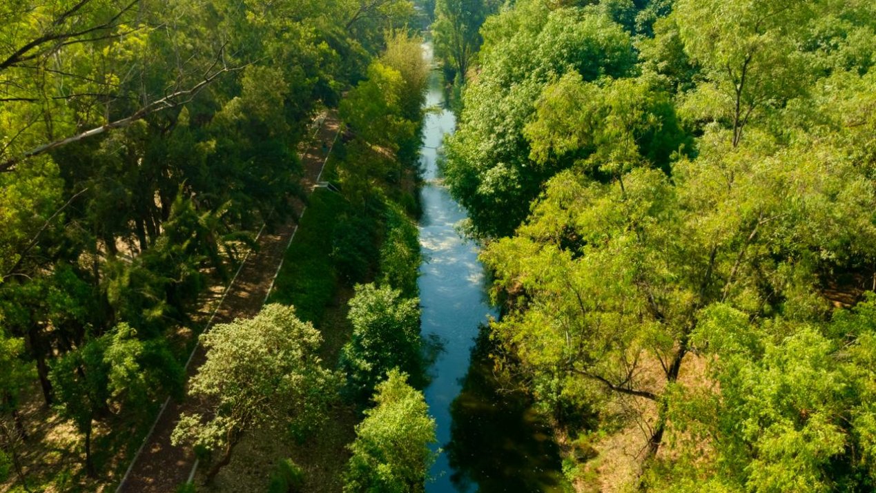 Mexico City's Canal Nacional Wins DNA Paris Design Award 2024