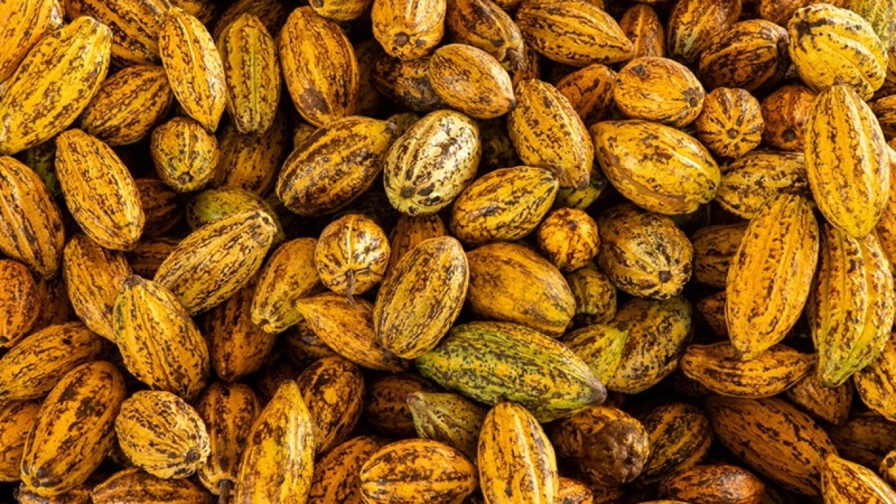 Ferrero Mexico Reports Progress on 'Ferrero por el Campo' Program