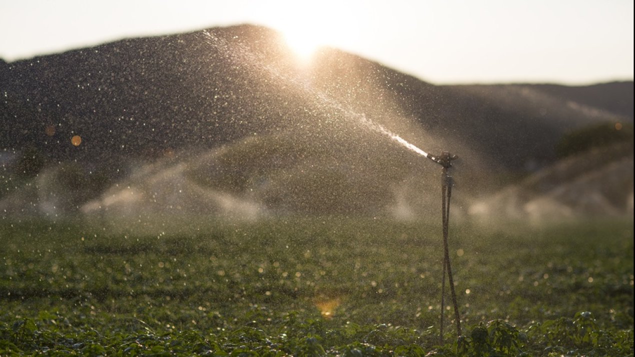 INIFAP Promotes Efficient Irrigation Technologies 
