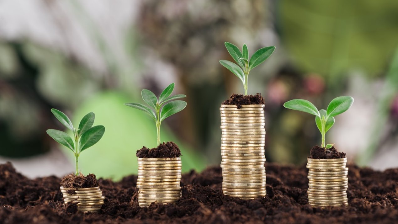 KPMG Launches Clear on Climate Reporting Hub