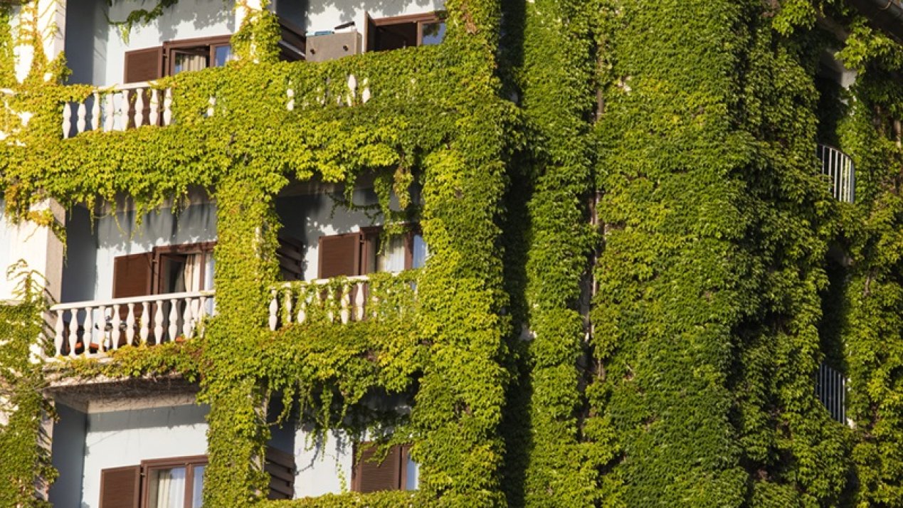 IBM, JLL Launch Sustainability Solution for Real Estate Sector