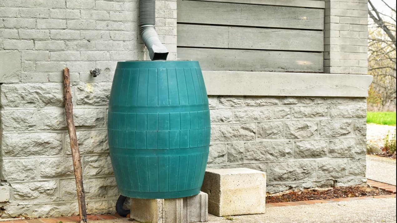 Rainwater Harvesting Systems Installed in Mexico City Schools