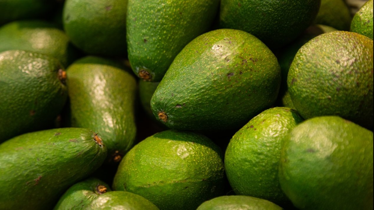 Mexico, US Transfer Avocado Inspection Duties to SENASICA