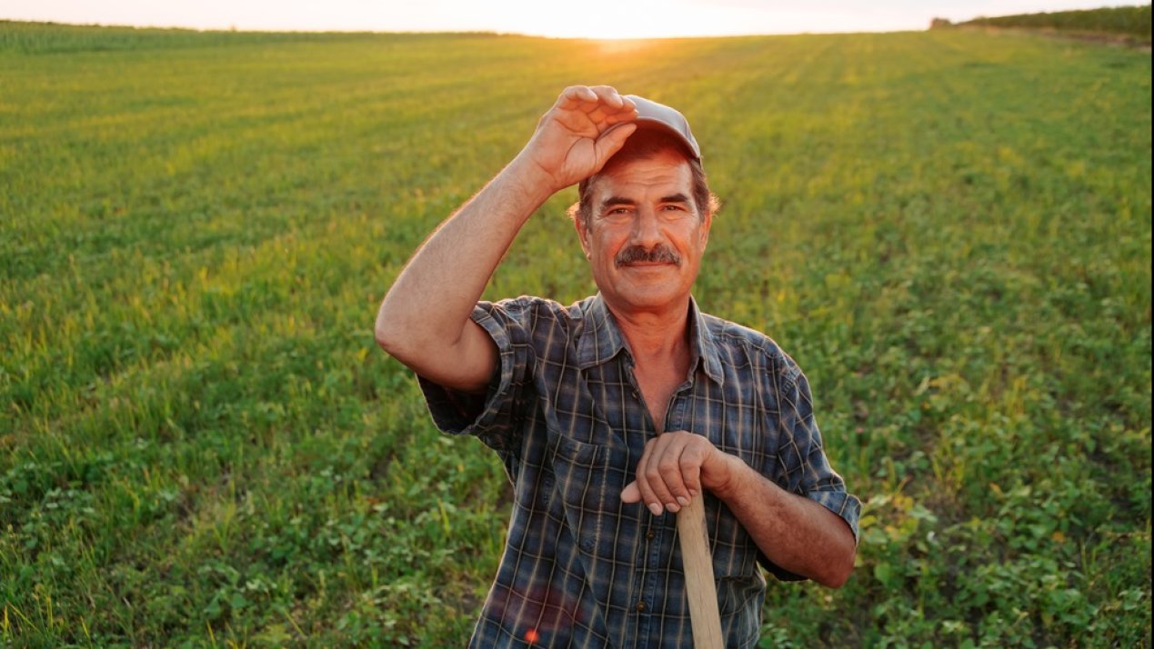 Sembrando Vida, Import Substitutions, Sustainability Initiatives