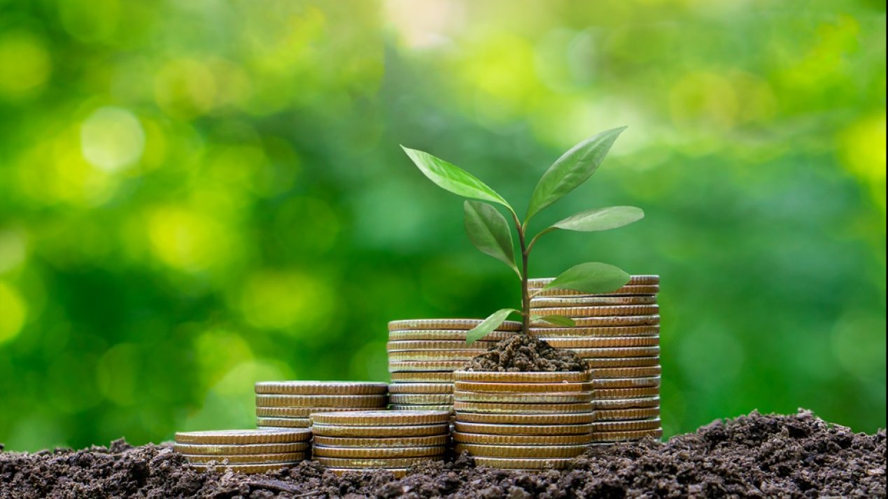 Advancing Sustainable Finance: Progress in Green Bonds