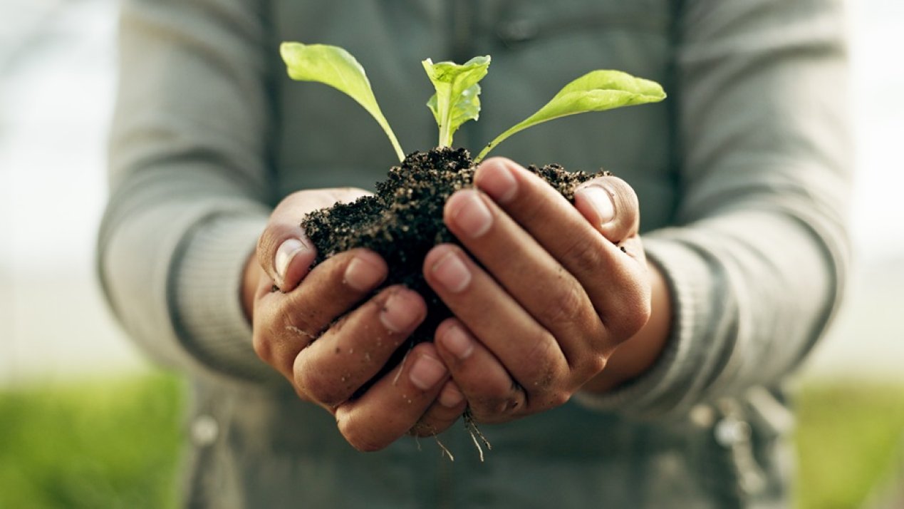 Mexico Trains Over 700,000 Farmers in Sustainable Practices 