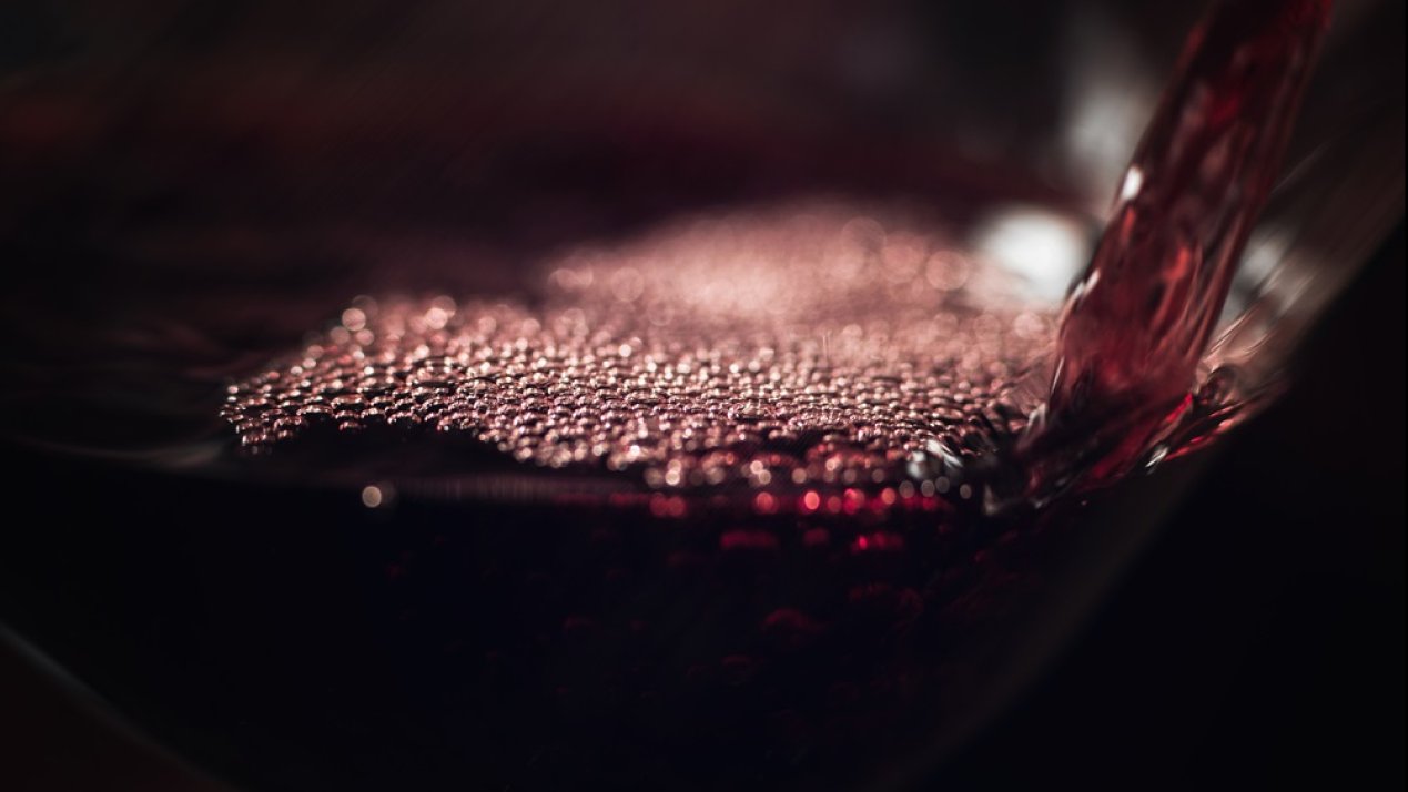 Mexico, France Launch Vineyard Genetics Project