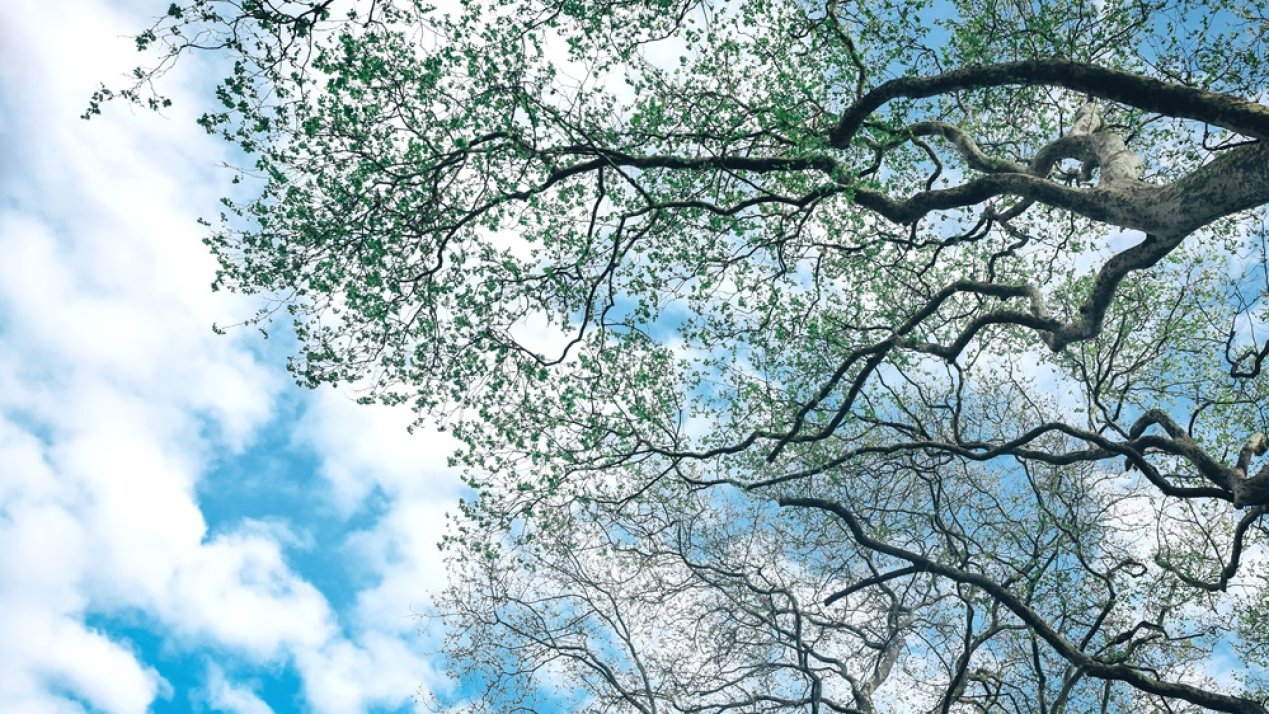 State of Mexico to Reduce GHG Emissions 