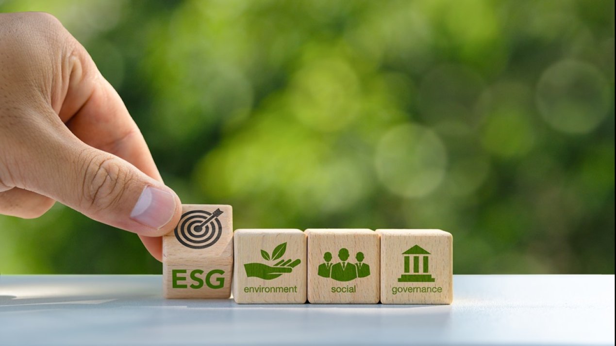 Mexican Firms Will Increase Sustainability Investments in 2025