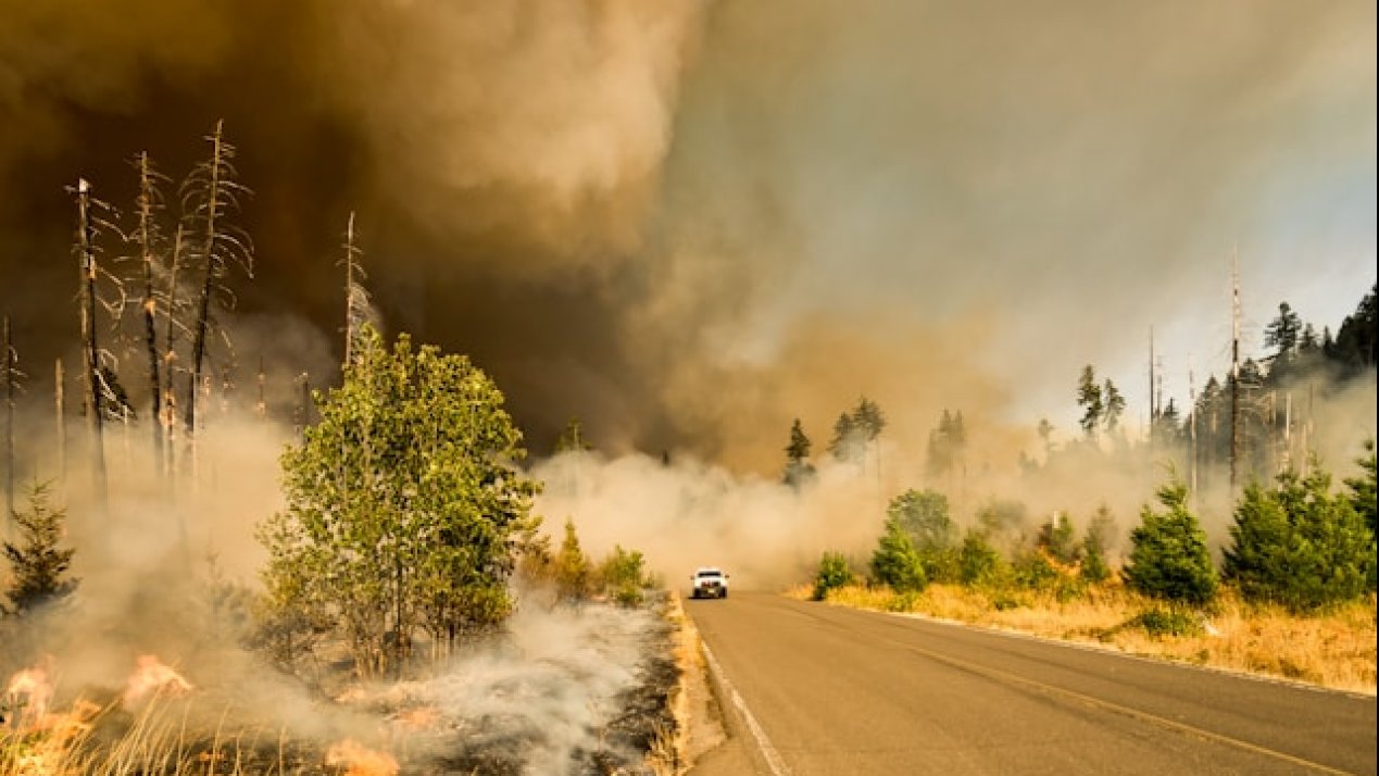 Firefighting Industry Innovates Amid Rising Wildfire Threat