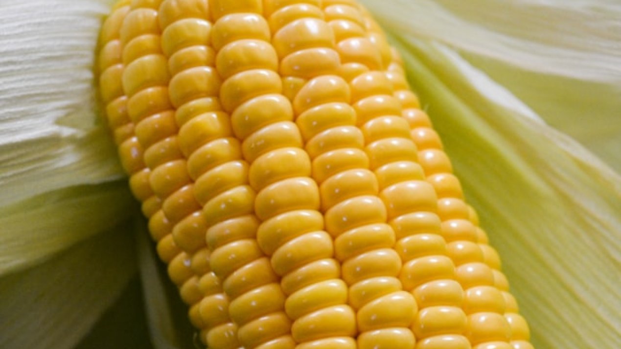 Gruma May Be Asked to Sell Mexican Plants to Boost Competition