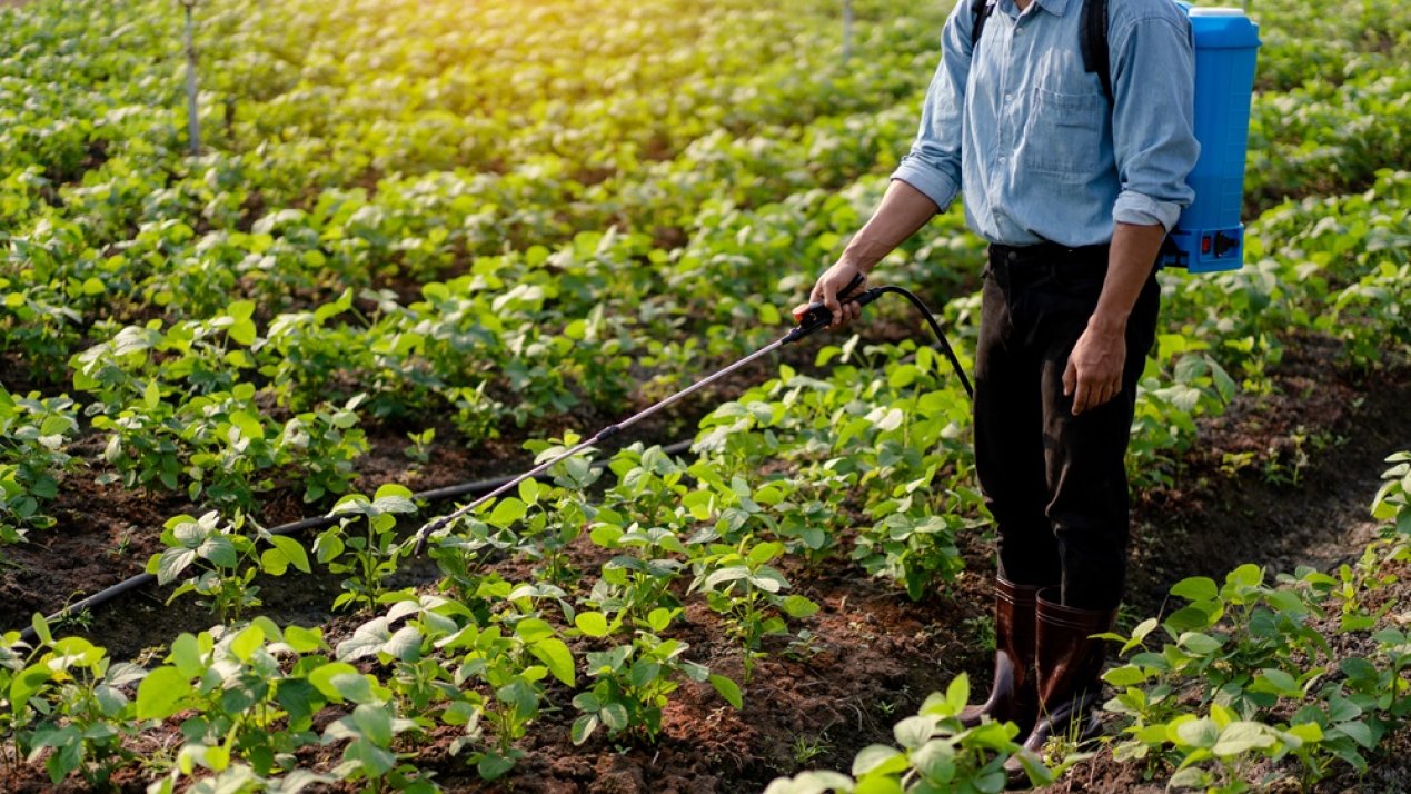 Fertilizers for Well-Being Reaches Over 2 Million Producers