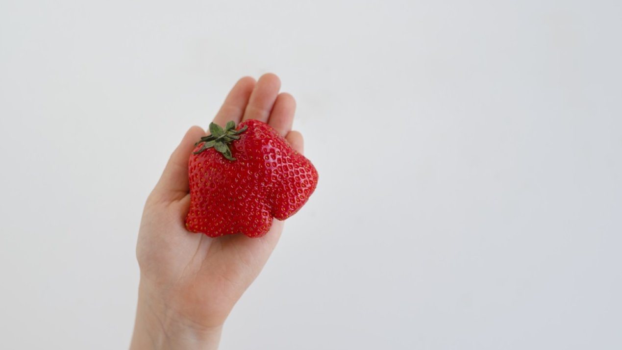 UN Calls for Global Food Waste Cut to Achieve SDG Targets