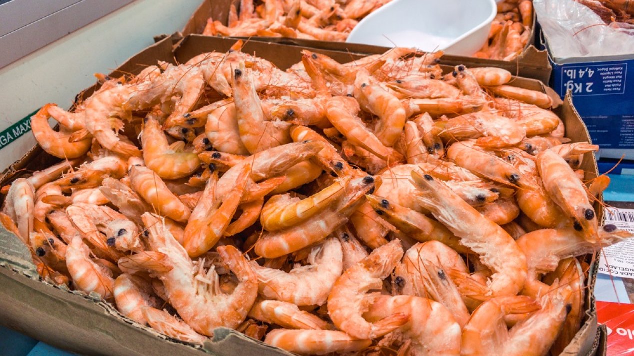 Mexico Maintains Certification for Sustainable Shrimp Fishery