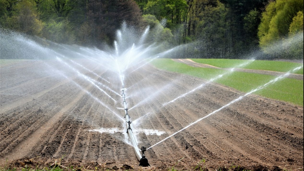 Water Plan, Food Prices, and Growing Exports