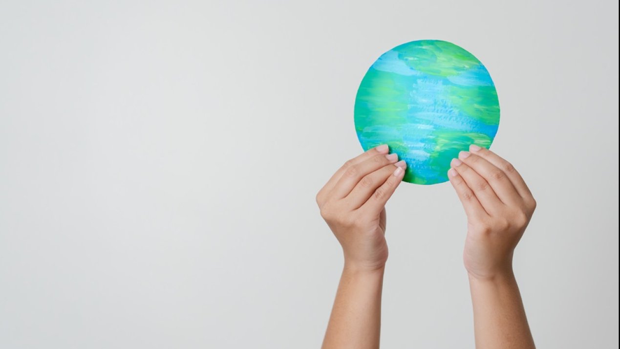 Sustainability Leadership and Decarbonization Efforts