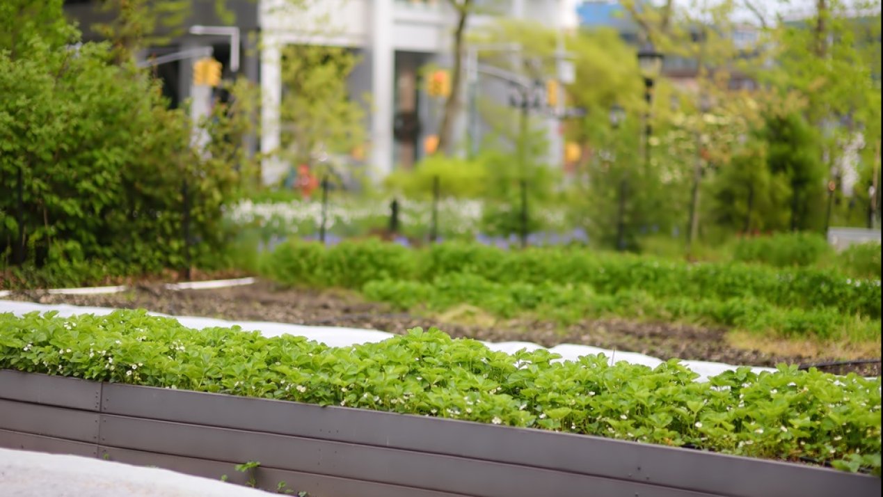 Mexico City Wins World Green City Award