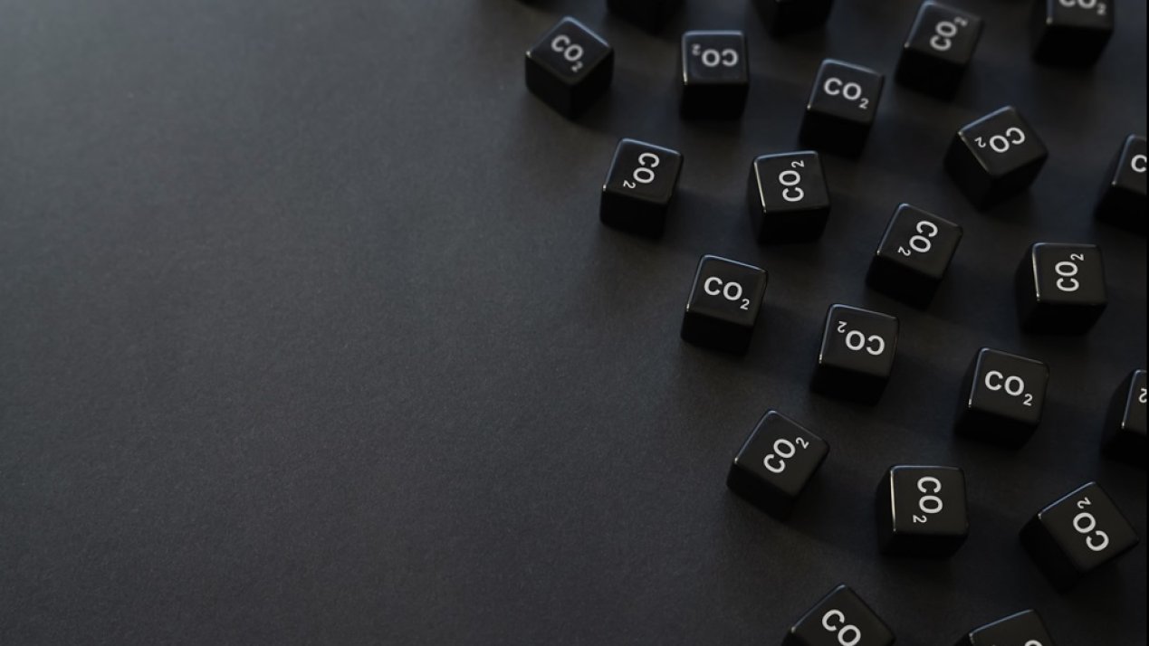 Decarbonization, Environmental Costs, and Sustainability Efforts