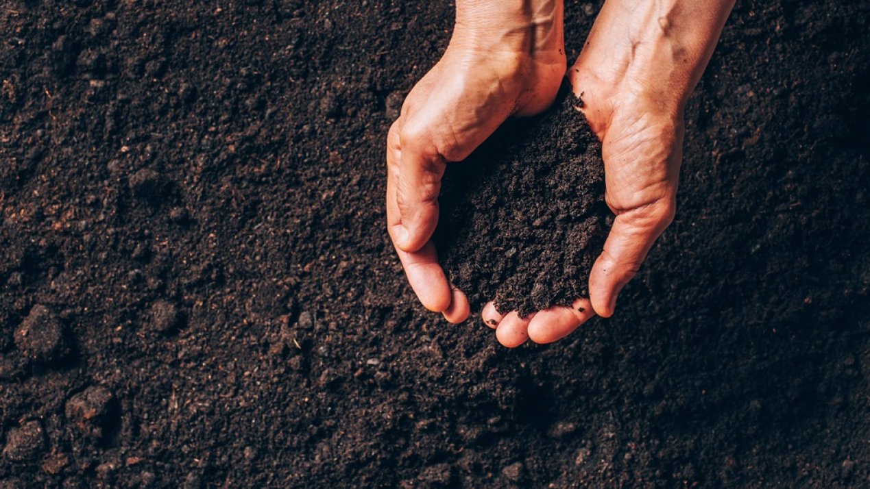 SADER Hosts Soil Week to Promote Sustainable Land Use