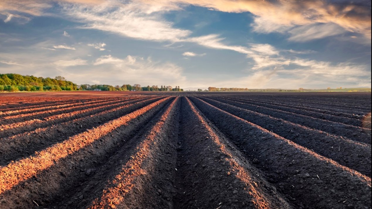 FAO Calls for Sustainable Soil Management Across Latin America