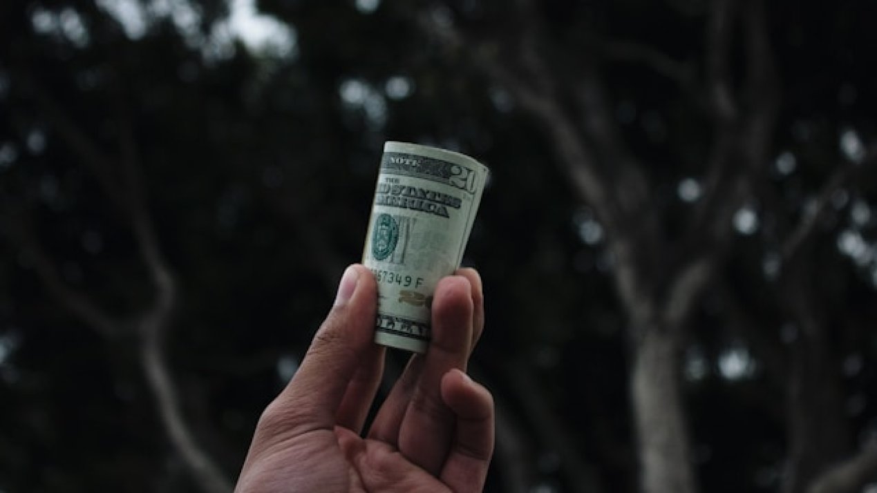 Chamber of Deputies Approves Federal Budget for 2025