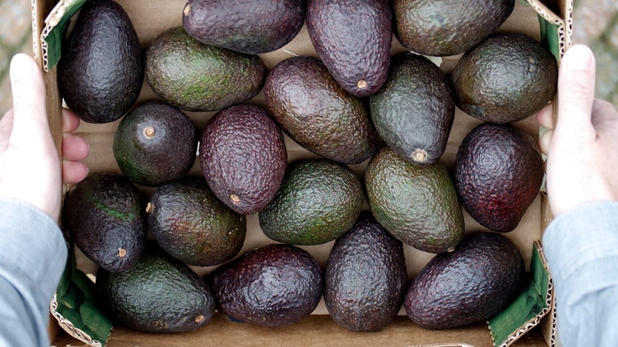 Mexico Tightens Standards for Agricultural Exports