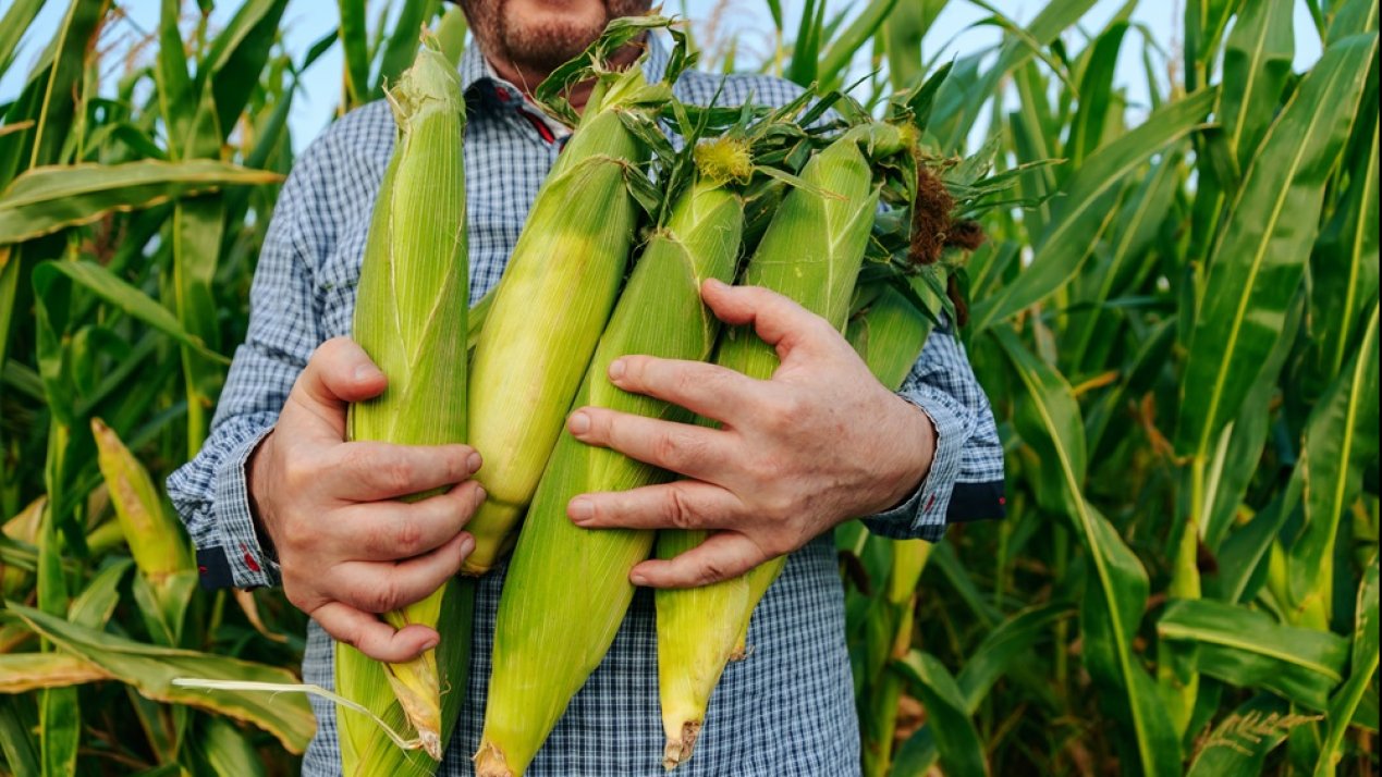 Agricultural Production Declines for the Second Consecutive Year