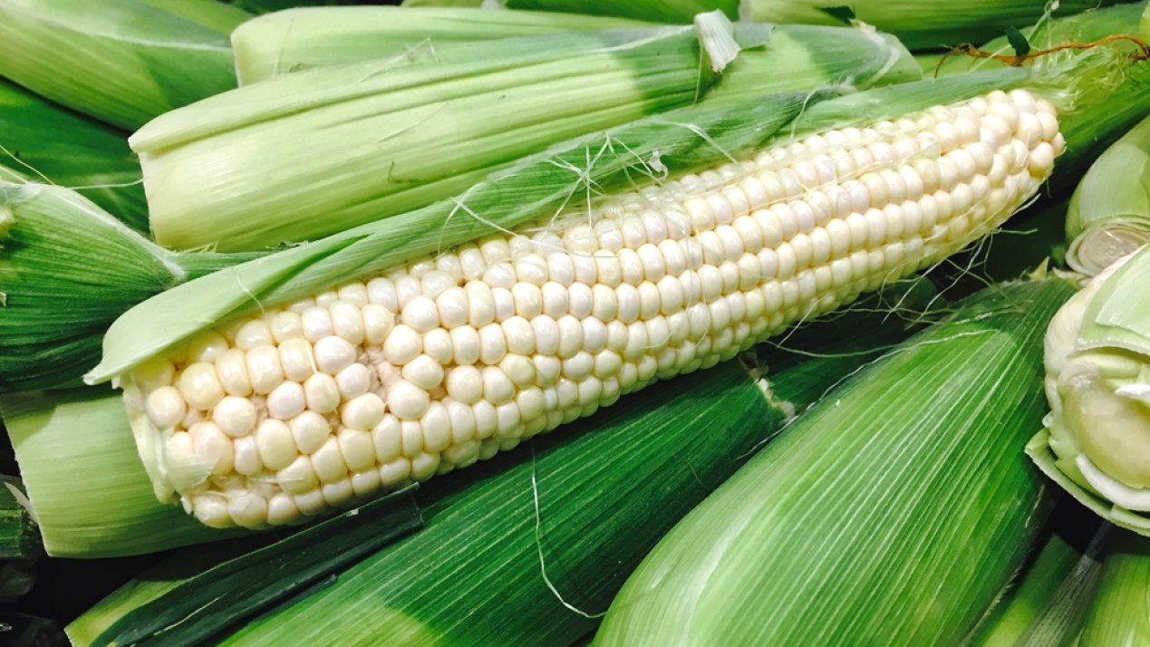 Mexico Reaffirms Commitment to Non-GMO Corn, Biodiversity