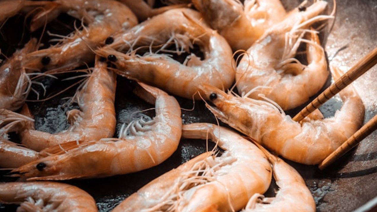 UNAM, TESE Create Sustainable Chitosan Extraction