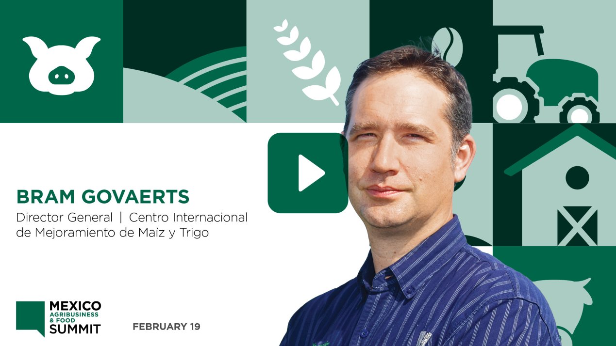 The Future of Mexico's Agribusiness and Food Industry