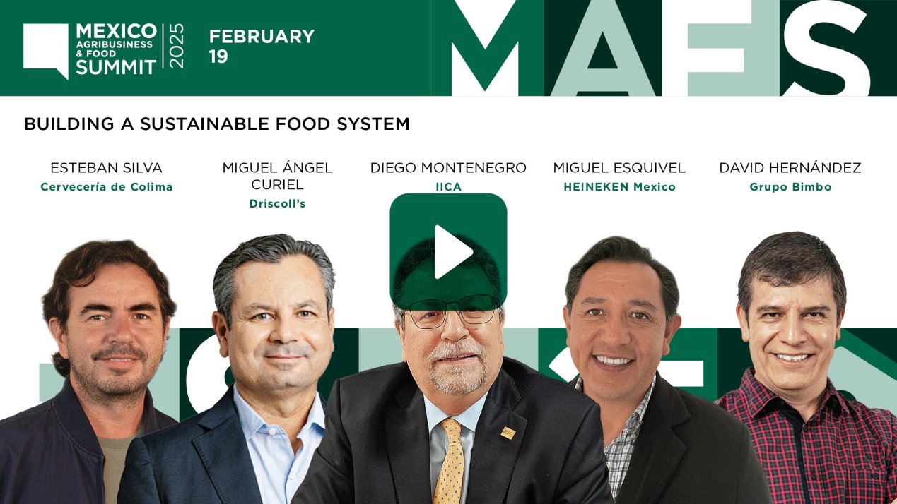 Building a Sustainable Food System