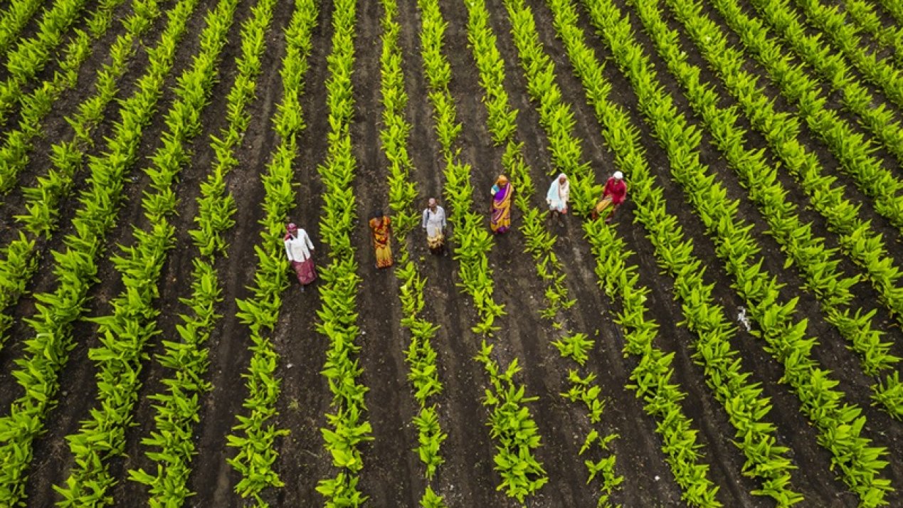 Latin America’s Climate Action Platform Holds Regional Forum