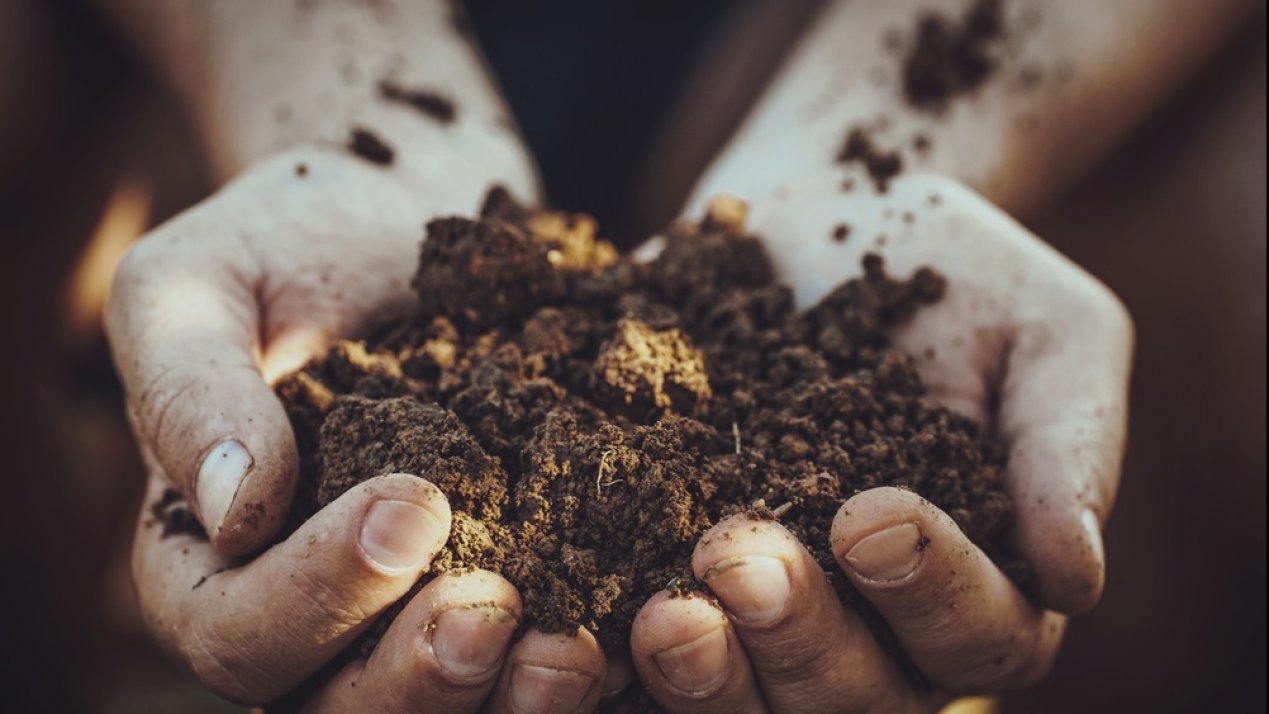 Mexico Launches Fertilizer Distribution Program in Michoacan