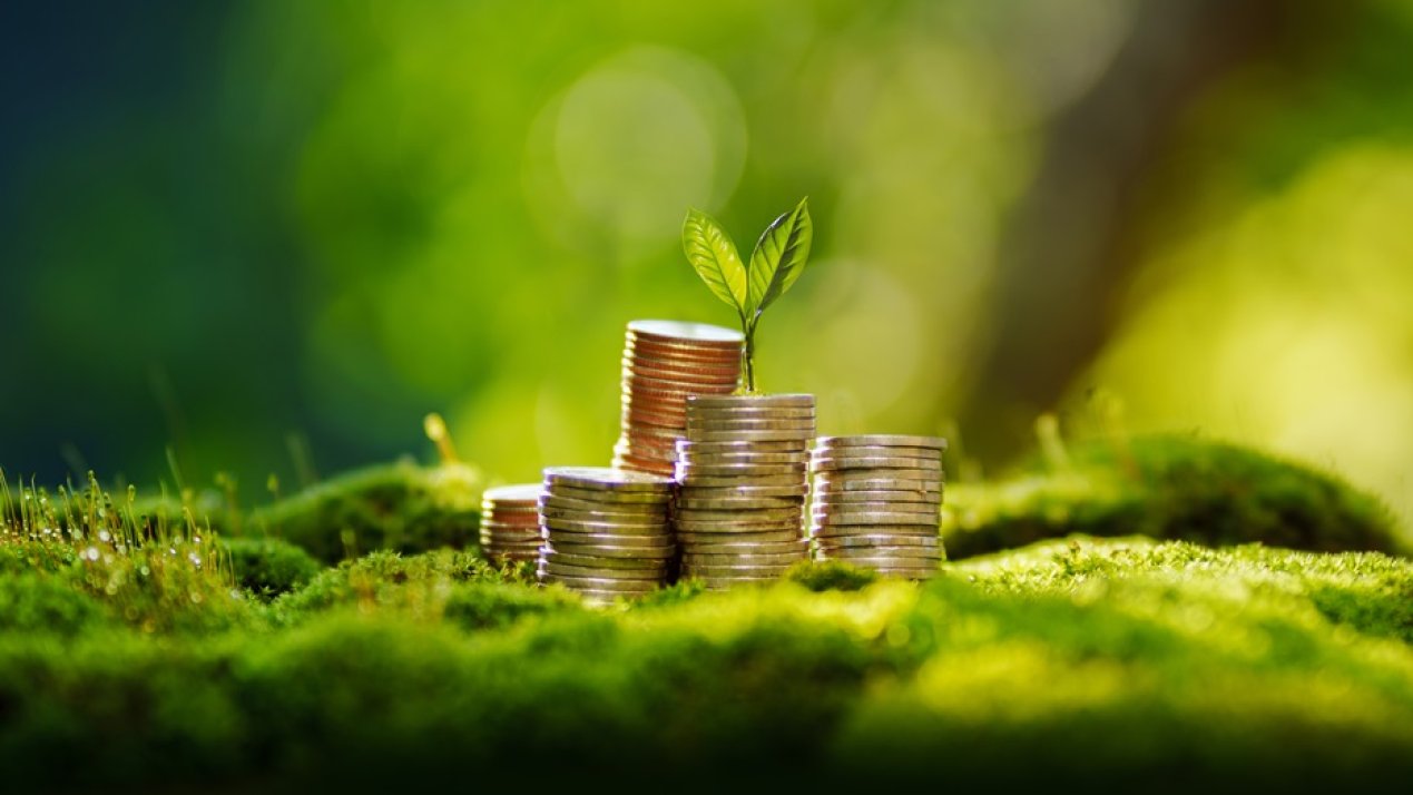 Global Sustainable Bond Issuance to Reach US$1 Trillion in 2025