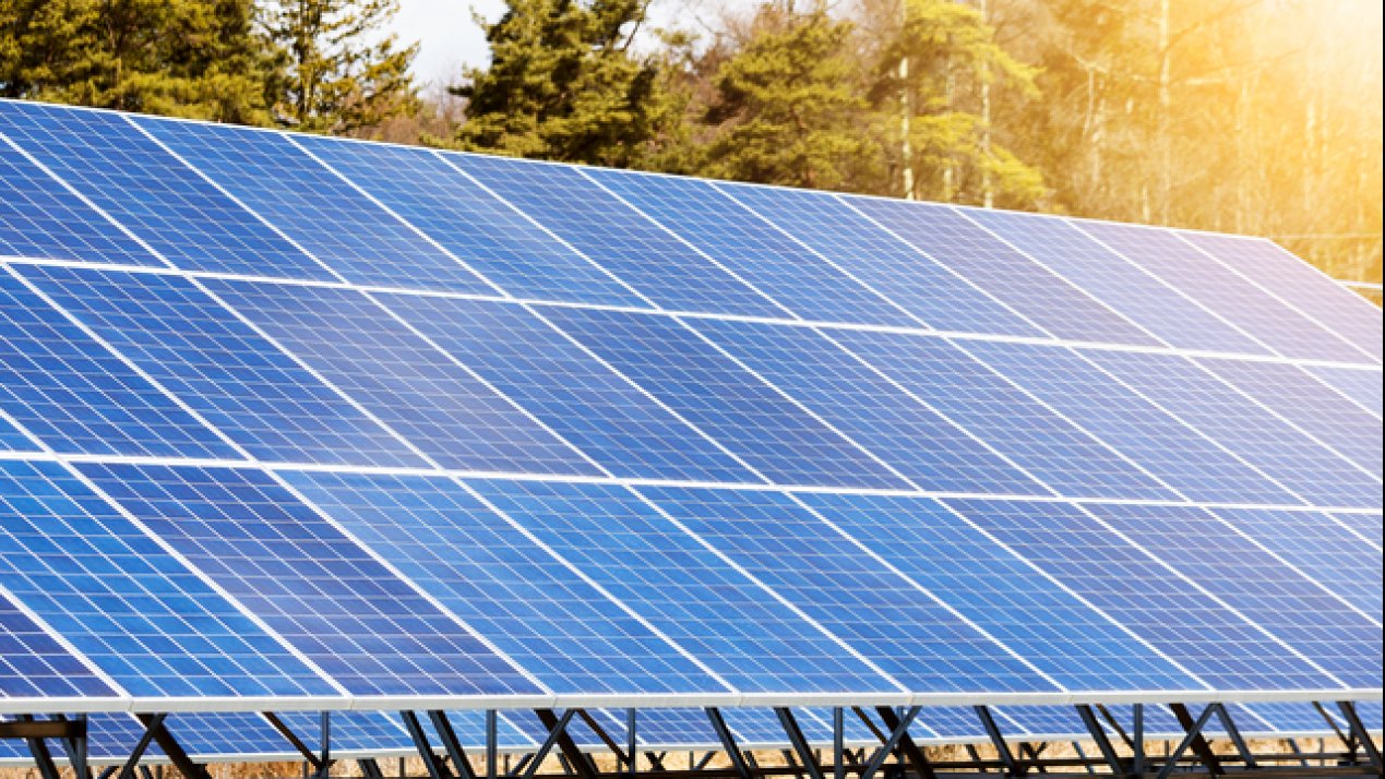 FIDE’s Eco-Credit Program Cuts 2025 Interest Rates