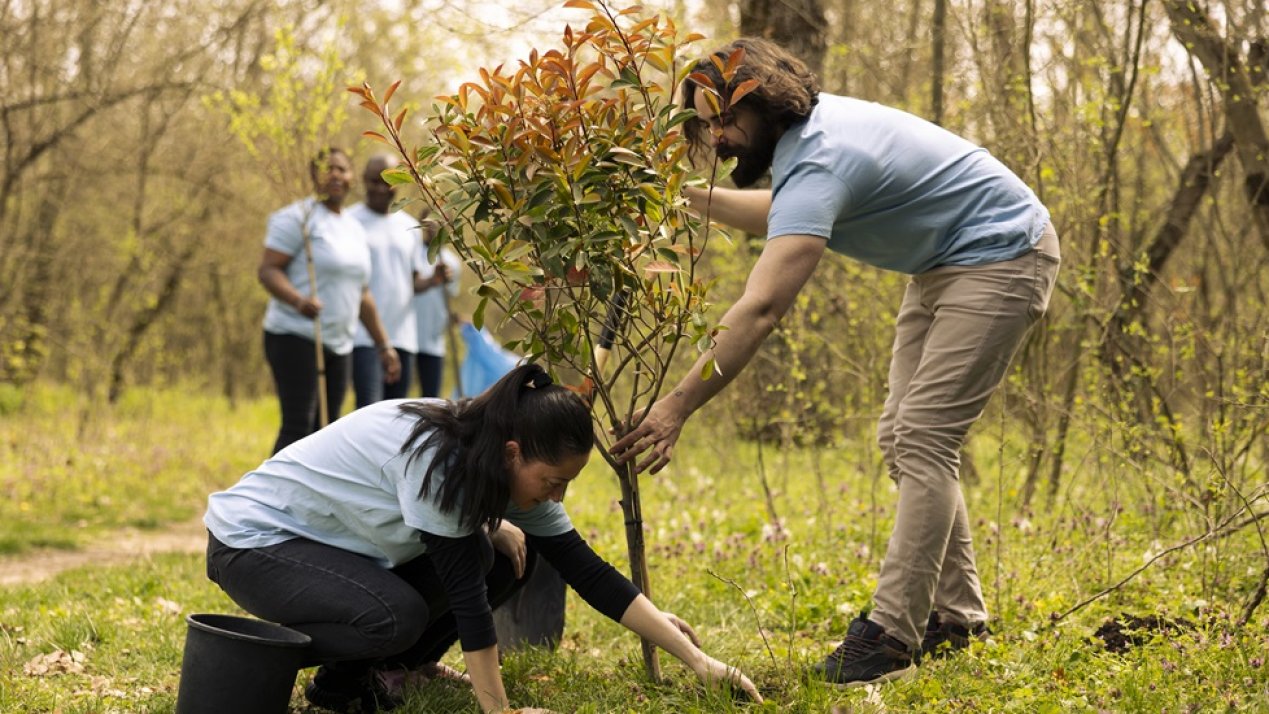 LEGO Group Invests in Carbon Removal, Reforestation Projects