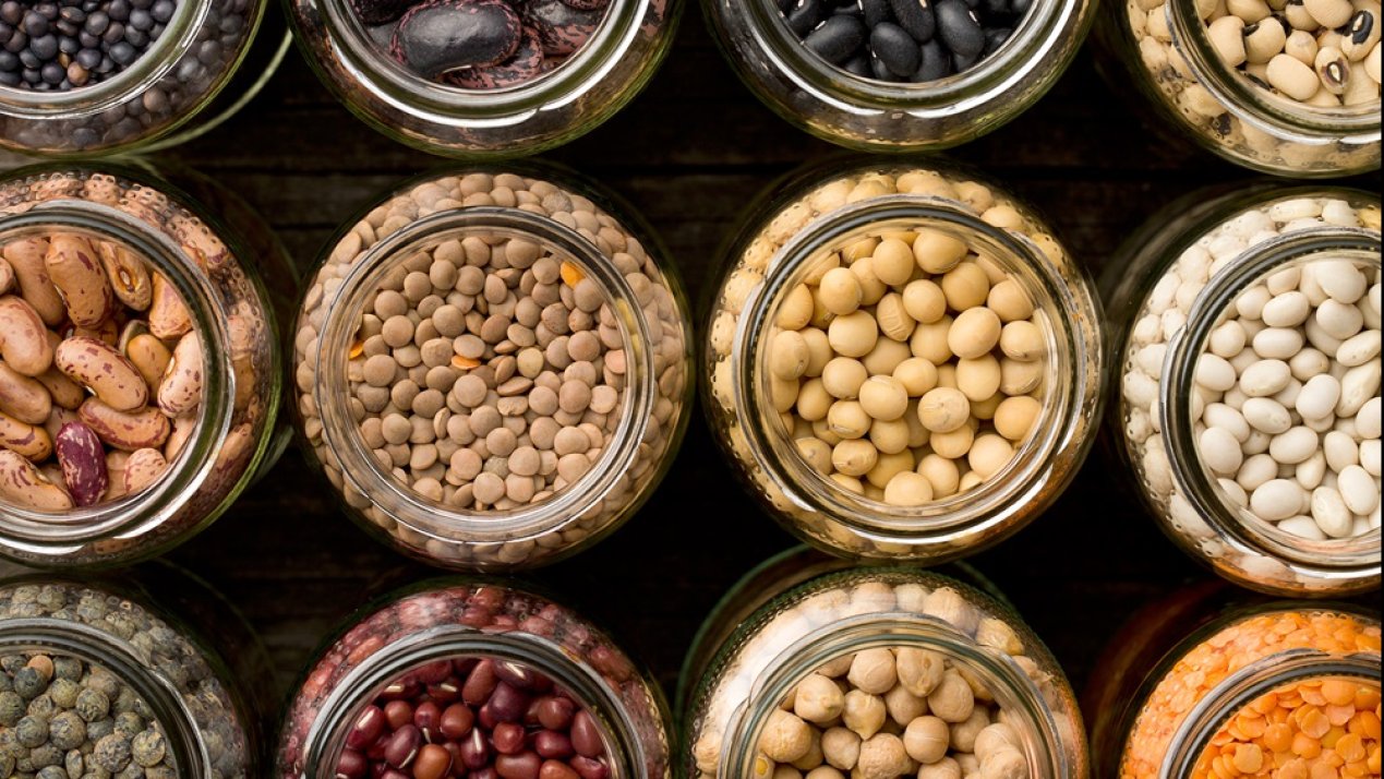 FAO Highlights Legumes’ Key Role in Agri-Food Systems 