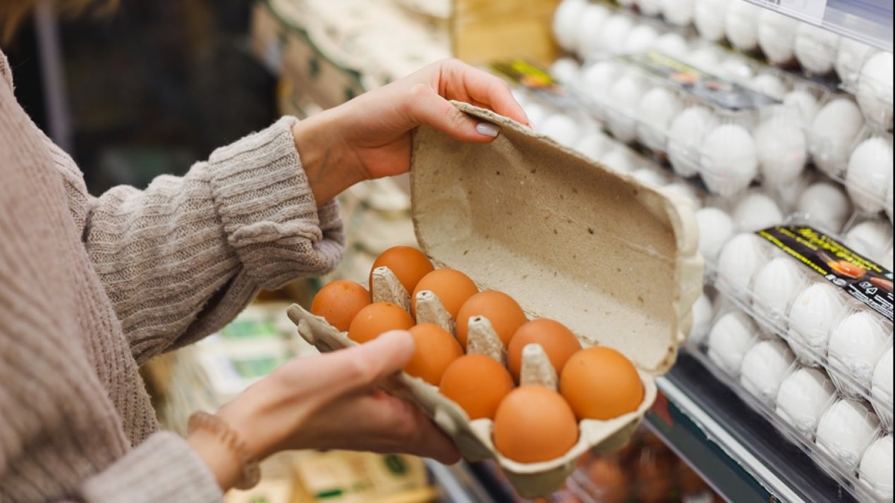 Egg Prices Soar in the US; Mexico’s Supply Remains Stable
