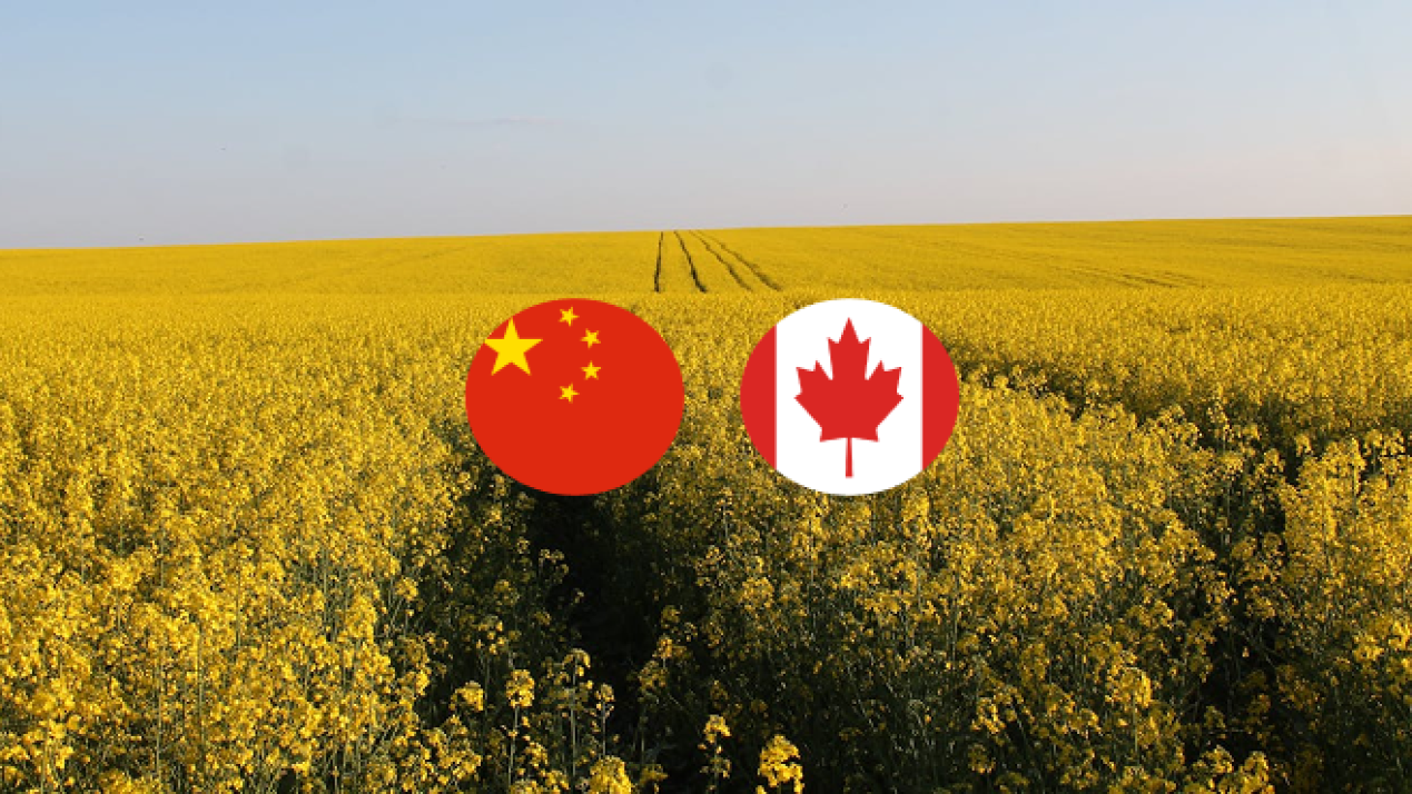China Imposes Tariffs on Canadian Canola, Pork, Seafood