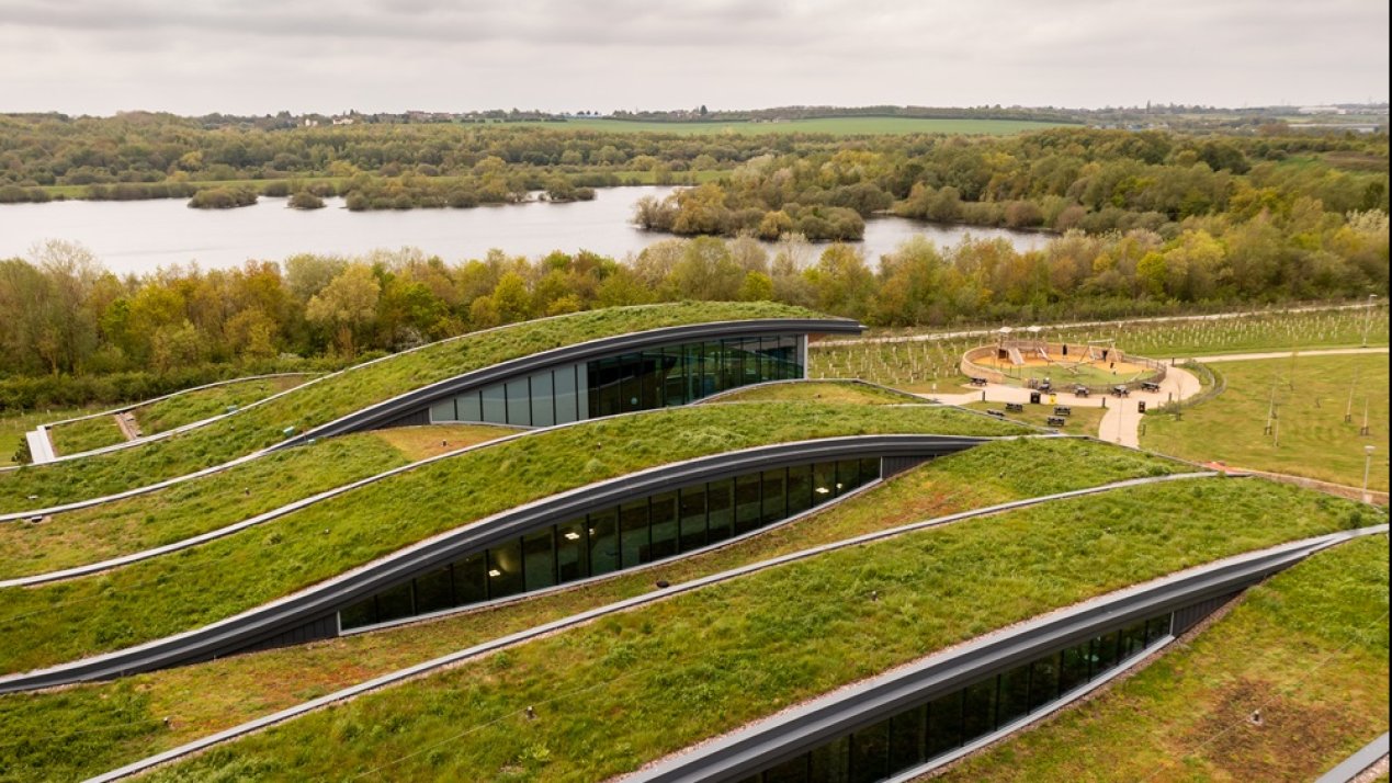 Slow Decarbonization Progress Threatens Climate Goals