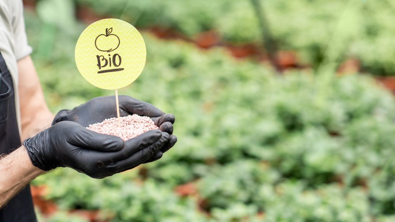 Mexico Advances Toward a Regulatory Framework for Bio-Inputs